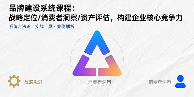 品牌建设系统课程：战略定位/消费者洞察/资产评估，构建企业核心竞争力-网创星球