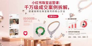 小红书珠宝运营课:千万级成交案例拆解,搭建高转化珠宝账号的核心方法-网创星球