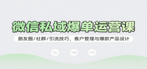 微信私域爆单运营课:朋友圈/社群/引流技巧,客户管理与爆款产品设计-网创星球