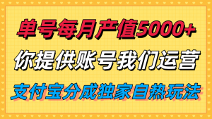 单月产值5000+，支付宝分成代运营，你提供账号坐等分钱，我们帮你运营-网创星球