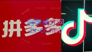 老陶电商·拼多多+抖音小店无货源开店(更新8月)-网创星球