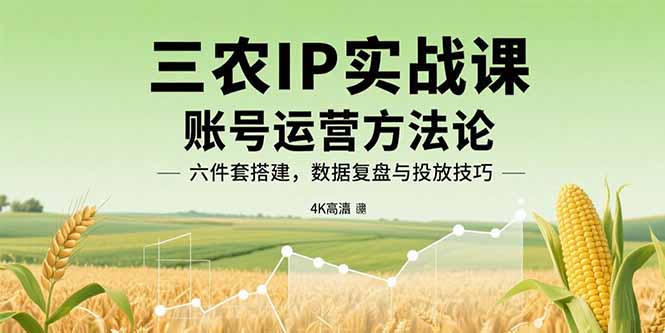 三农IP实战课：账号运营方法论，六件套搭建，数据复盘与投放技巧-网创星球