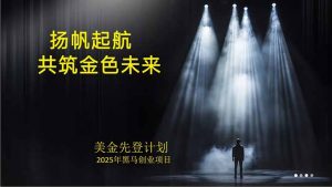 美金对冲创业项目，日收益1000-3000，小众暴力项目稳定运行8年-网创星球