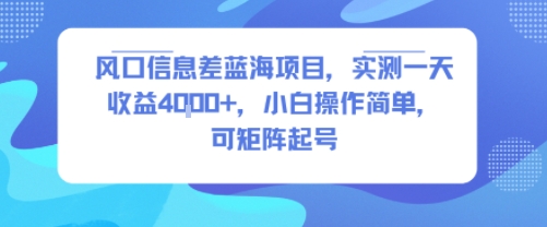 风口信息差蓝海项目，实测一天收益4k+，小白操作简单，可矩阵起号-网创星球