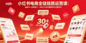 小红书电商全链路运营课：涵盖30+实操单元，实现从开店到爆款账号完整闭环-网创星球