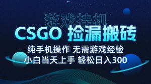 8月最新游戏搬砖，CSGO纯挂机，不需要玩游戏，实现真挂机，月入1W+-网创星球