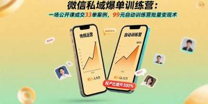 微信私域爆单训练营：一场公开课成交33单案例，99元自动训练营批量变现术-网创星球