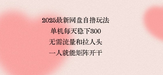 2025最新网盘自撸玩法，单机每天稳下3张，无需流量和拉人头，一个人就可轻松矩阵，全网独一份【揭秘】-网创星球