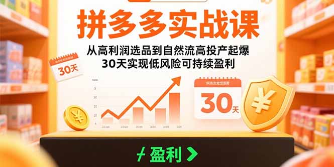 拼多多实战课：从高利润选品到自然流高投产起爆 30天实现低风险可持续盈利-网创星球