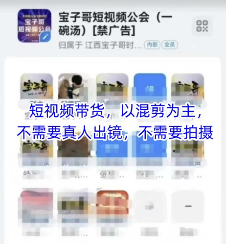 宝子哥头部团队短视频带货，以混剪为主，不需要真人出镜，不需要拍摄【更新8月】-网创星球