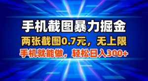 手机截图暴力掘金，两张截图0.7米，一部手机就能做，轻松日入3张+【揭秘】-网创星球