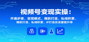 视频号变现实操,含开通步骤、变现模式、爆款打造、私域积累、IP打造及流量提升等-网创星球