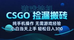 8月最新游戏搬砖，CSGO纯挂G，不需要玩游戏，实现真挂G，月入1W+【揭秘】-网创星球