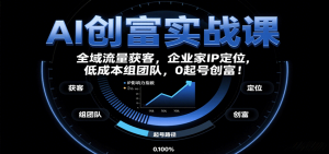 AI创富实战课：企业家IP定位，全域流量获客，低成本组团队，0起号创富！-网创星球