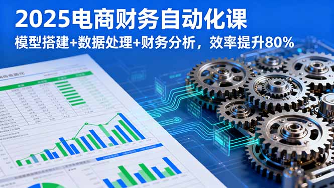 2025电商财务自动化课，模型搭建+数据处理+财务分析，效率提升80%-网创星球