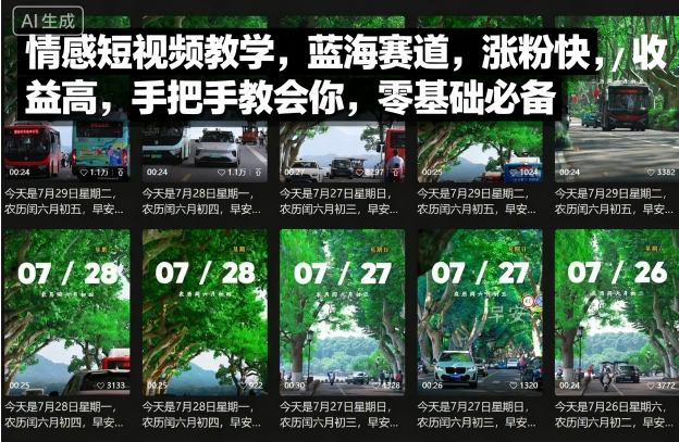 情感短视频教学，蓝海赛道，涨粉快，收益高，手把手教会你，零基础必备-网创星球