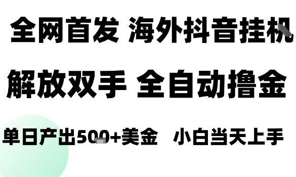 海外抖音无人直播，单日产出1.5k+，长期稳定，新手可玩，无脑操作【揭秘】-网创星球