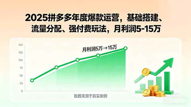 2025拼多多年度爆款运营，基础搭建、流量分配、强付费玩法，月利润5-15万-网创星球