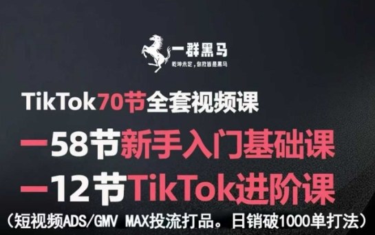 TikTok全套视频课，新手入门+进阶课，短视频ADS-GMV MAX投流打品，日销破1000单打法-网创星球