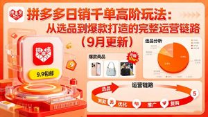 拼多多日销千单高阶玩法：从选品到爆款打造的完整运营链路(9月更新-网创星球