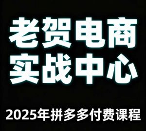 老贺电商2025年拼多多付费课程，用通俗易懂的方法告诉你多多怎么玩-网创星球