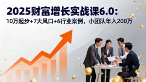 2025财富增长实战课6.0：10万起步+7大风口+6行业案例，小团队年入200万-网创星球