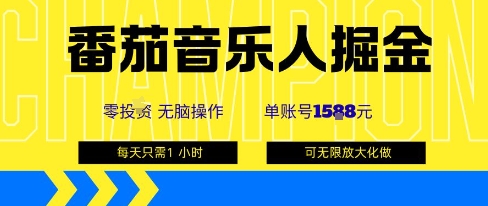 番茄音乐人掘金，单账号最高可撸1k+，可无限矩阵去做，零投入-网创星球