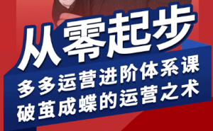 海神·拼多多运营进阶系统课(更新9月)-网创星球