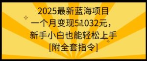 2025最新蓝海项目一个月变现1w+新手小白也能轻松上手【附全套指令】-网创星球