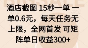 酒店截图15秒一单,一单0.6米,每天任务无上限,全网首发可矩阵单日收益3张【揭秘】-网创星球