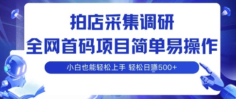 拍店采集调研，全网首码项目，简单易操作， 小白也能轻松上手，多账号操作，轻松日入5张【揭秘】-网创星球