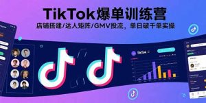 TikTok爆单训练营,店铺搭建/达人矩阵/GMV投流,单日破千单实操-网创星球