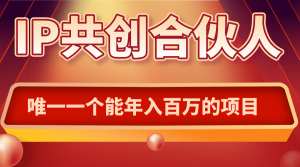 如何通过IP共创合伙人一起合伙“卖项目”-网创星球