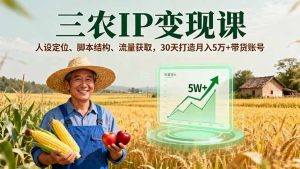 三农IP变现课，人设定位、脚本结构、流量获取，30天打造月入5万+带货账号-网创星球