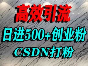 怎么打创业粉？CSDN又一个你不知道的打粉引流神秘平台，单人日引500+精准流量-网创星球
