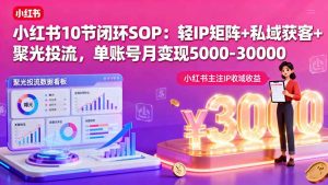 小红书10节闭环SOP：轻IP矩阵+私域获客+聚光投流，单账号月变现5000-30000-网创星球