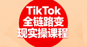 小杨老师·TikTok全链路变现实操课程-网创星球