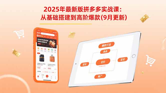 2025年最新版拼多多实战课：从基础搭建到高阶爆款(9月更新-网创星球