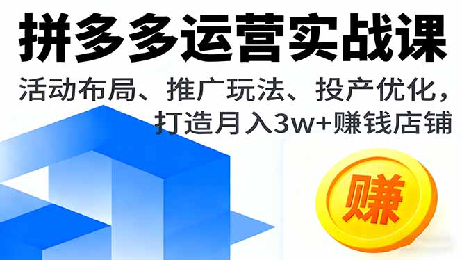 拼多多运营实战课，活动布局、推广玩法、投产优化，打造月入3w+赚钱店铺-网创星球