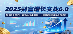 2025财富增长实战6.0，聚焦7大风口，结合6行业案例，小团队轻松年入200万！-网创星球