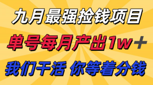九月最强捡钱项目！ 支付宝分成代运营，我们干活，你分钱！单号月产1w+-网创星球