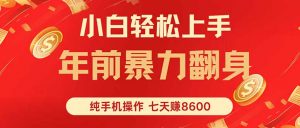 七天狂赚8600，小白纯手机操作，日入1000+-网创星球