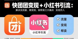 快团团变现+小红书引流：解决没流量、难变现、缺帮卖三大痛点 实现月入3w+-网创星球