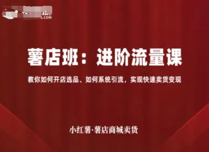 小红薯薯店商城卖货，进阶流量课，教你如何开店选品、如何系统引流，实现快速卖货变现-网创星球