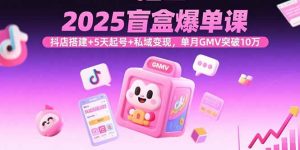 2025盲盒爆单课，抖店搭建+5天起号+私域变现，单月GMV突破10万-网创星球