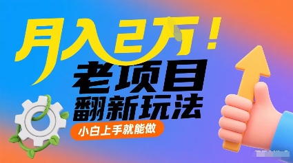 月入2W！老项目翻新玩法，小白上手就能做，非常容易上手-网创星球