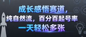 成长感悟赛道，纯自然流，百分百起号率 一天轻松多张-网创星球