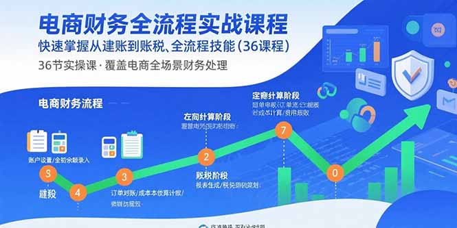 电商财务全流程实战课程：快速掌握从建账到报税的全流程技能(36节课-网创星球