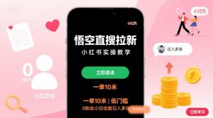 悟空直搜拉新小红书实操教学，一单10米，低门槛，0粉丝小白也能日入多张-网创星球