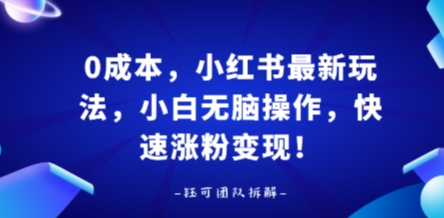 0成本，小红书最新玩法，小白无脑操作，快速涨粉变现-网创星球
